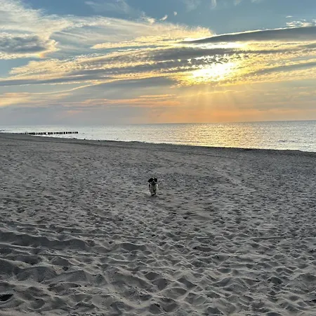 Alloggio in famiglia White Frog *