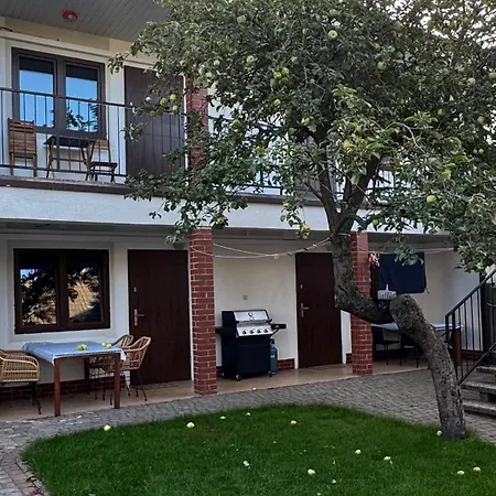 White Frog Alloggio in famiglia