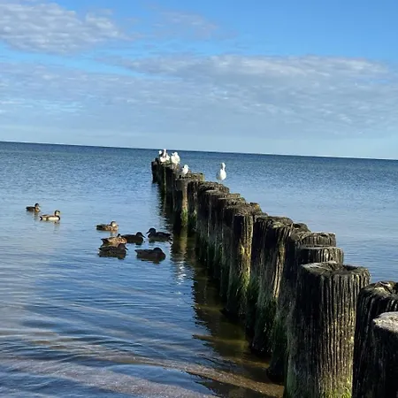 Alloggio in famiglia White Frog *