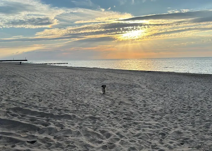 Alloggio in famiglia White Frog *