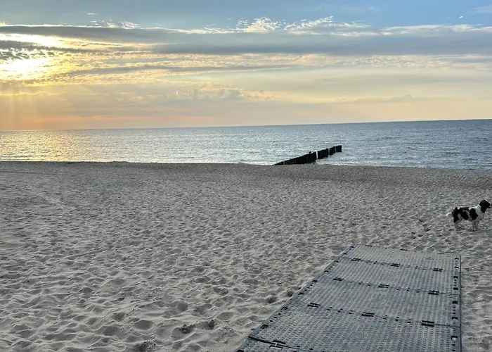 White Frog Alloggio in famiglia Dziwnów