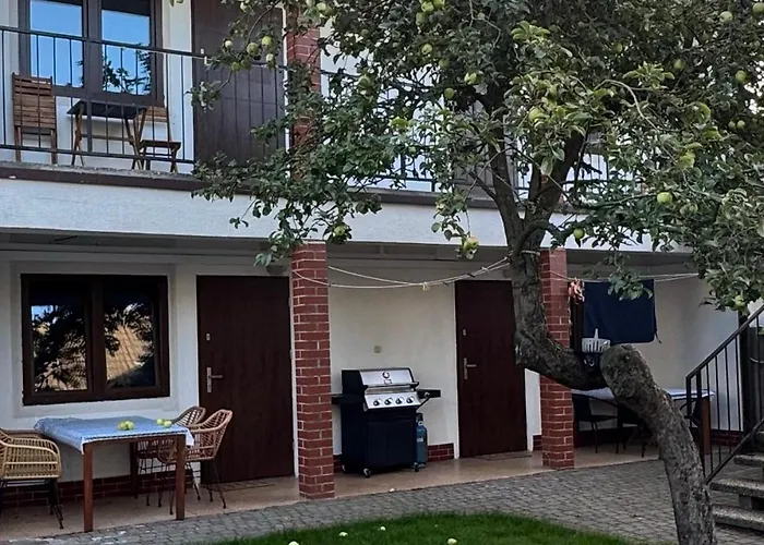 White Frog Alloggio in famiglia